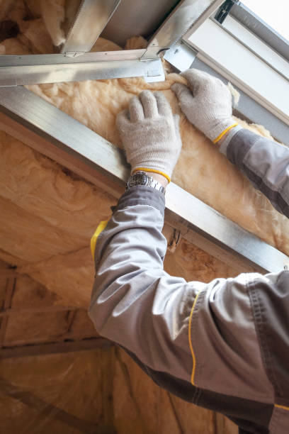 Trusted Monrovia, CA Insulation Contractor Experts